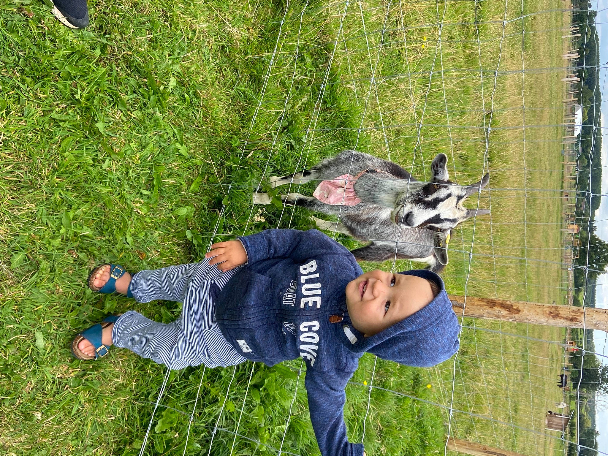 Houssine a rejoint le concours — aidez-le/la à gagner de superbes lots ! adventure, fun, grass, grass_family, grassland, green, headwear, lawn, leisure, outdoor_shoe, people_in_nature, person, plant, recreation, t_shirt, tree, walking_shoe