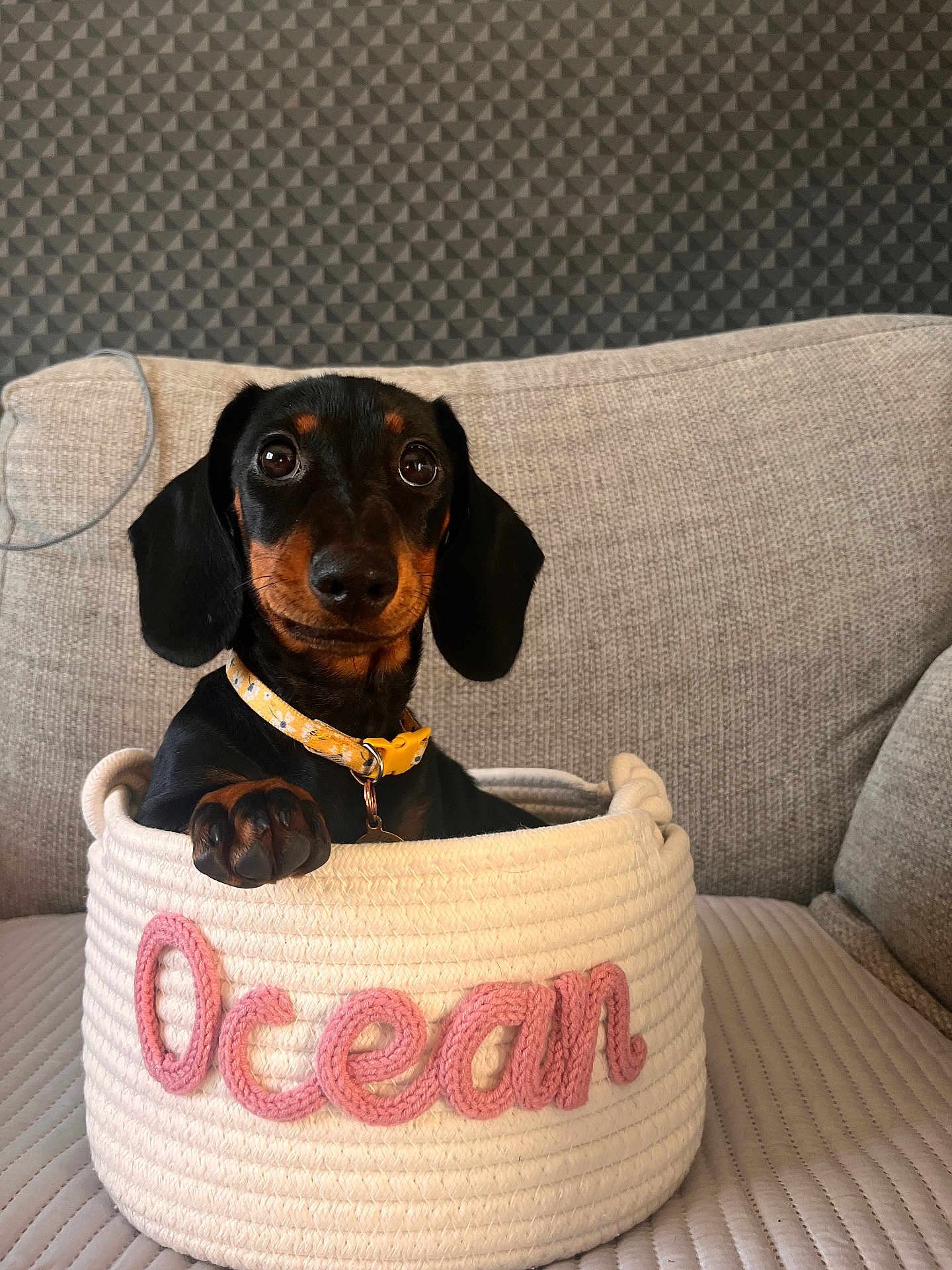 Ocean