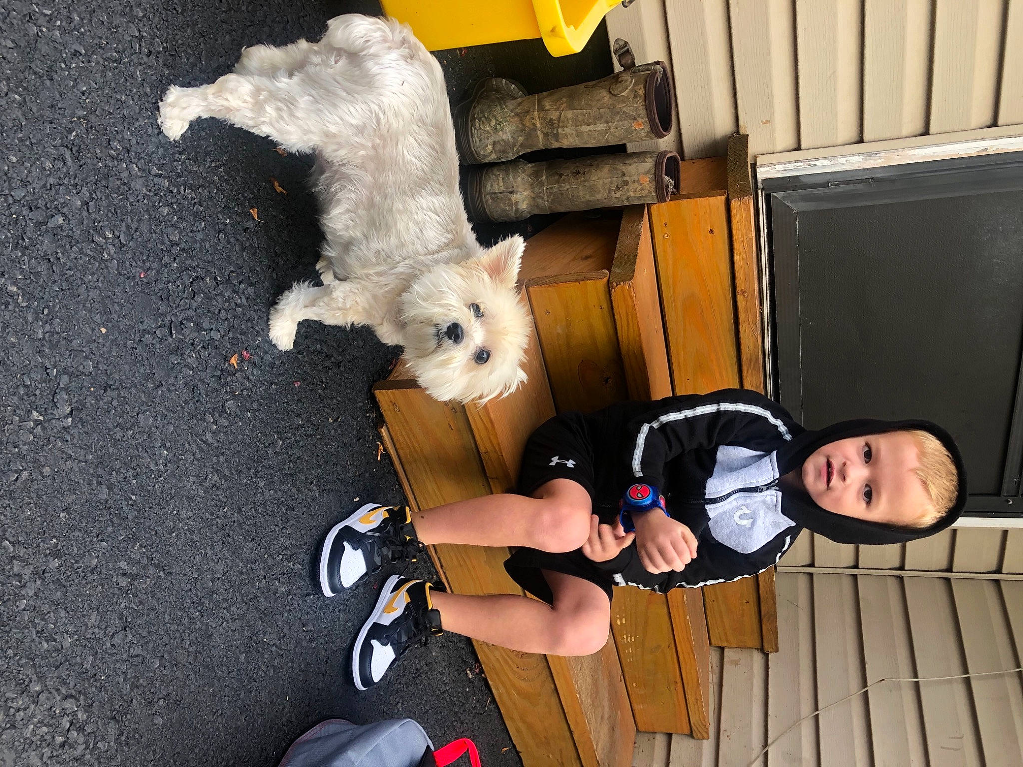 Kayden is registered to the contest to win money with this photo: carnivore, companion_dog, dog, dog_breed, fawn, felidae, fun, hat, leg, leisure, mammal, person, small_to_medium_sized_cats, sneakers, t_shirt, tail, toddler, toy, toy_dog, wood