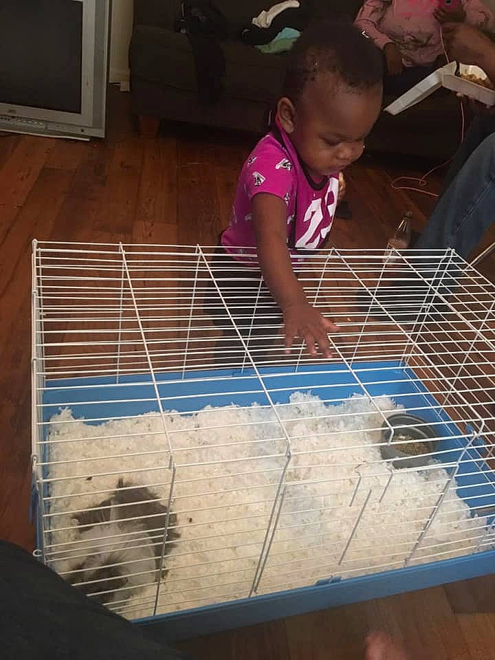 Jada is registered to the contest to win money with this photo: cage, child, person