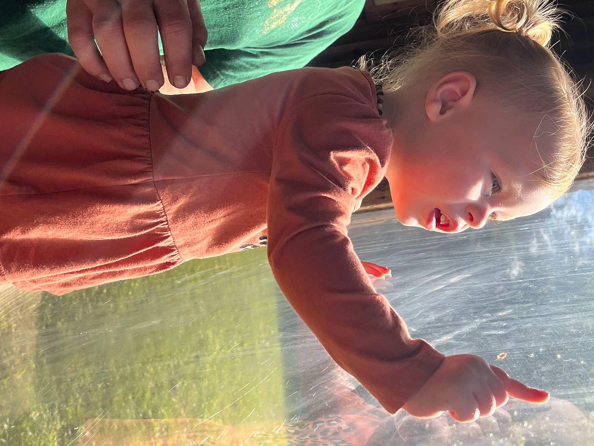 Laionna is registered to the contest to win money with this photo: child, cool, elbow, flash_photography, fun, gesture, grass, hand, happy, human_body, leisure, love, people_in_nature, person, play, recreation, sunlight, toddler, tree, vacation