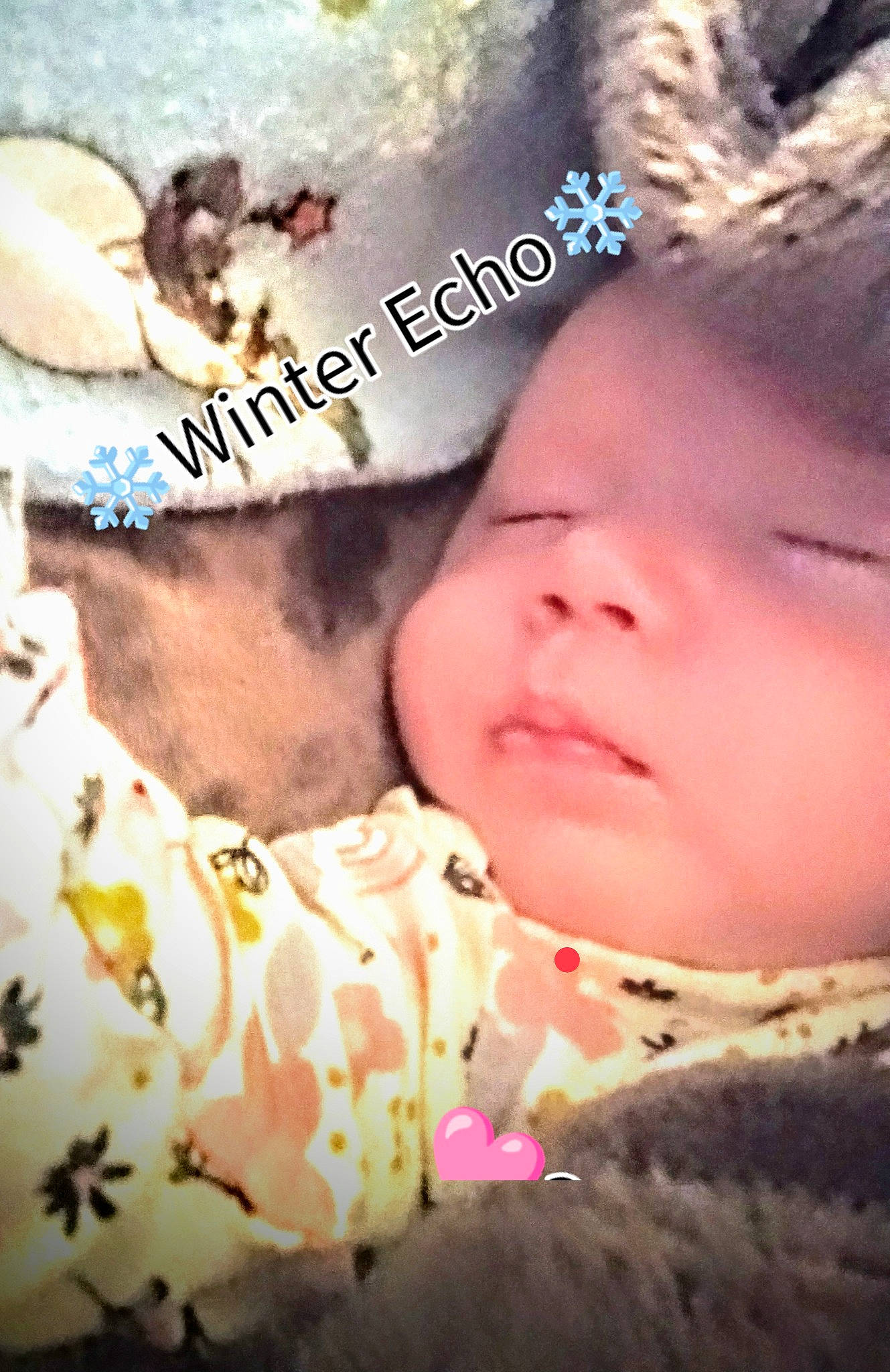 Winter is registered to the contest to win money with this photo: baby, bedtime, child, comfort, eyelash, font, fur, gesture, grass, happy, head, hug, love, people_in_nature, person, photo_caption, plant, romance, skin, toddler