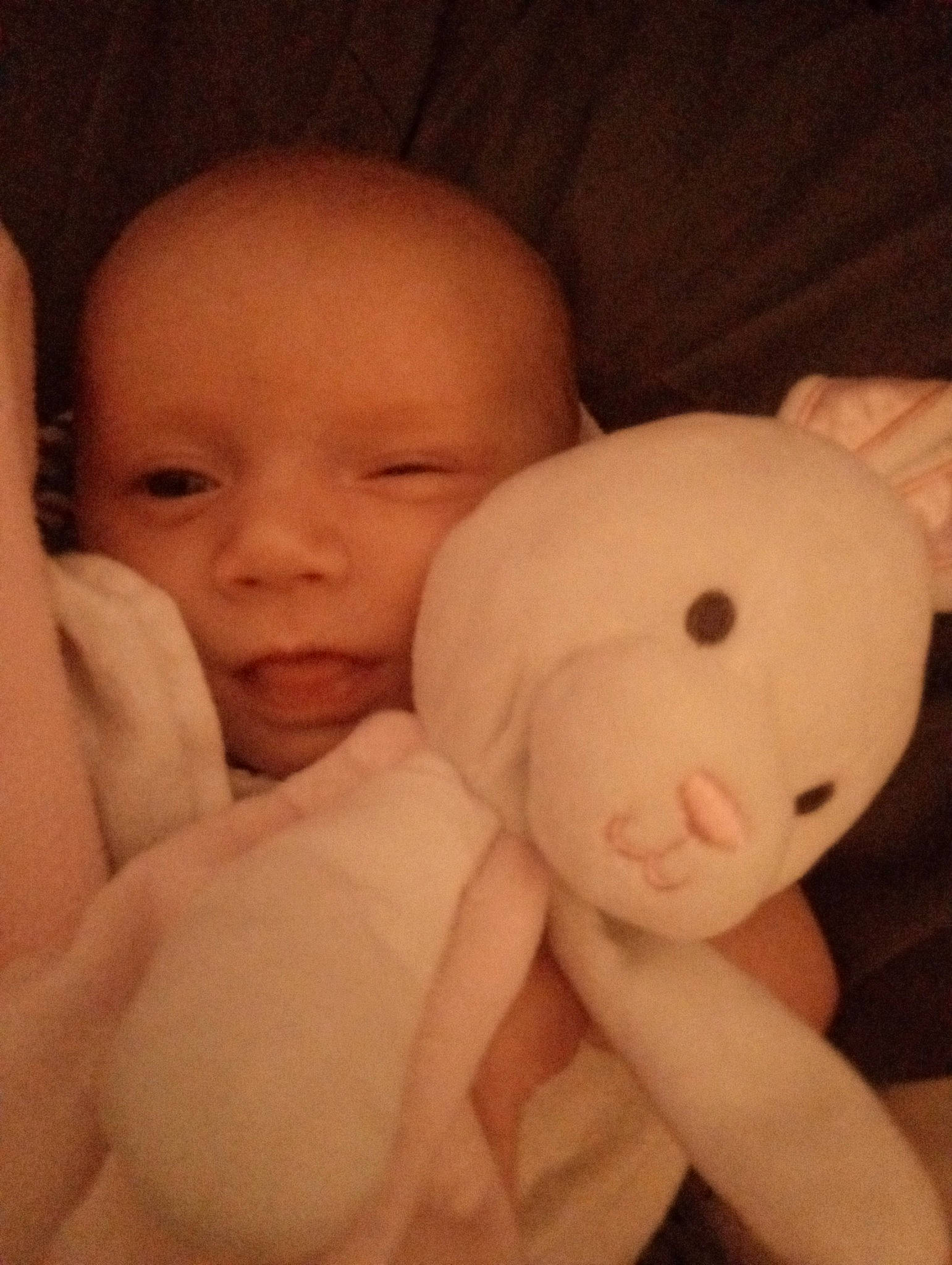 Winter is registered to the contest to win money with this photo: arm, cheek, chin, comfort, ear, eye, eyebrow, face, forehead, hairstyle, hand, happy, head, human_body, lip, mouth, nose, person, skin, textile