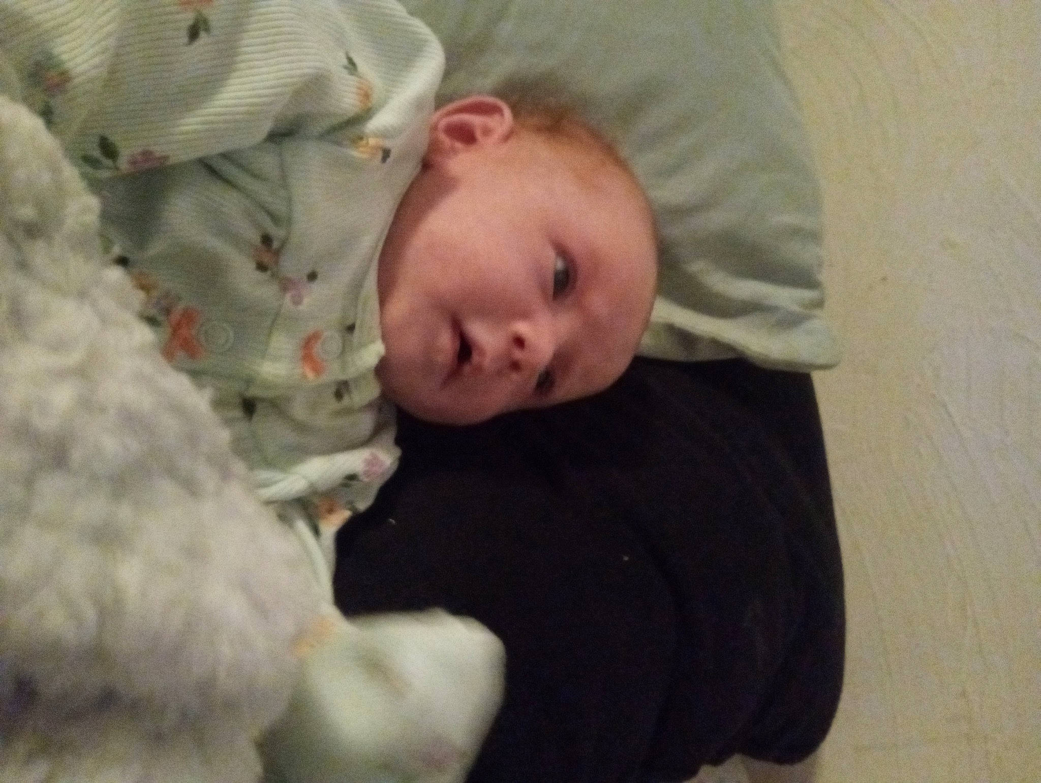 Winter is registered to the contest to win money with this photo: baby, baby_toddler_clothing, cheek, child, comfort, flooring, fur, linens, nose, person, room, sitting, sleeve, toddler, vertebrate, wood