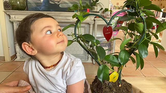 Louise participe au concours pour gagner de l'argent avec cette photo : bell_peppers_and_chili_peppers, chili_pepper, floral_design, floristry, flower, flowering_plant, flowerpot, garden, happy, herb, houseplant, local_food, nightshade_family, person, plant, plant_stem, smile, soil, t_shirt, terrestrial_plant