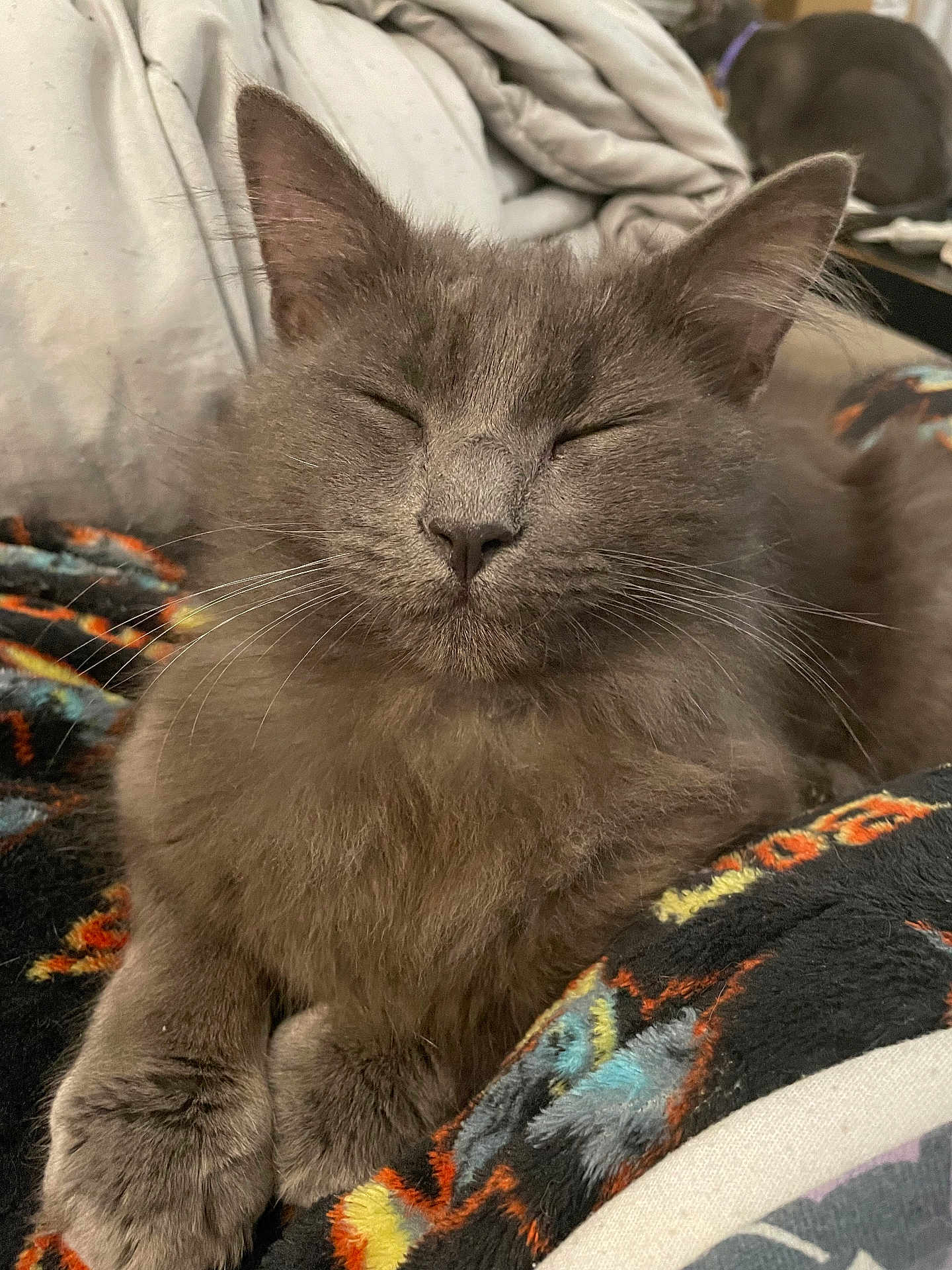 Remy