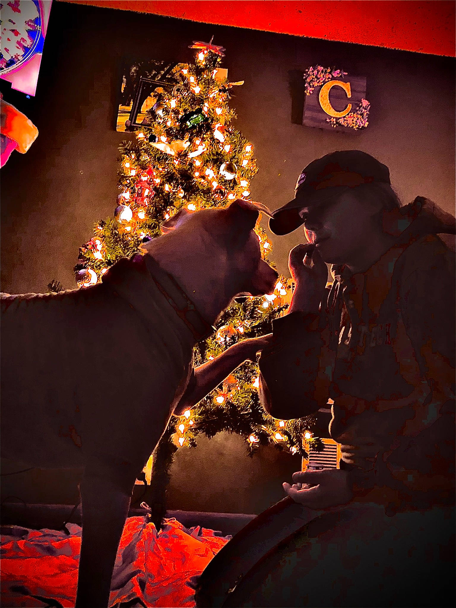 Baylee joined the competition — help win amazing prizes! art, christmas_decoration, darkness, entertainment, event, font, fun, glass, happy, hat, heat, holiday, illustration, night, people_in_nature, room, tradition, visual_arts, window, world