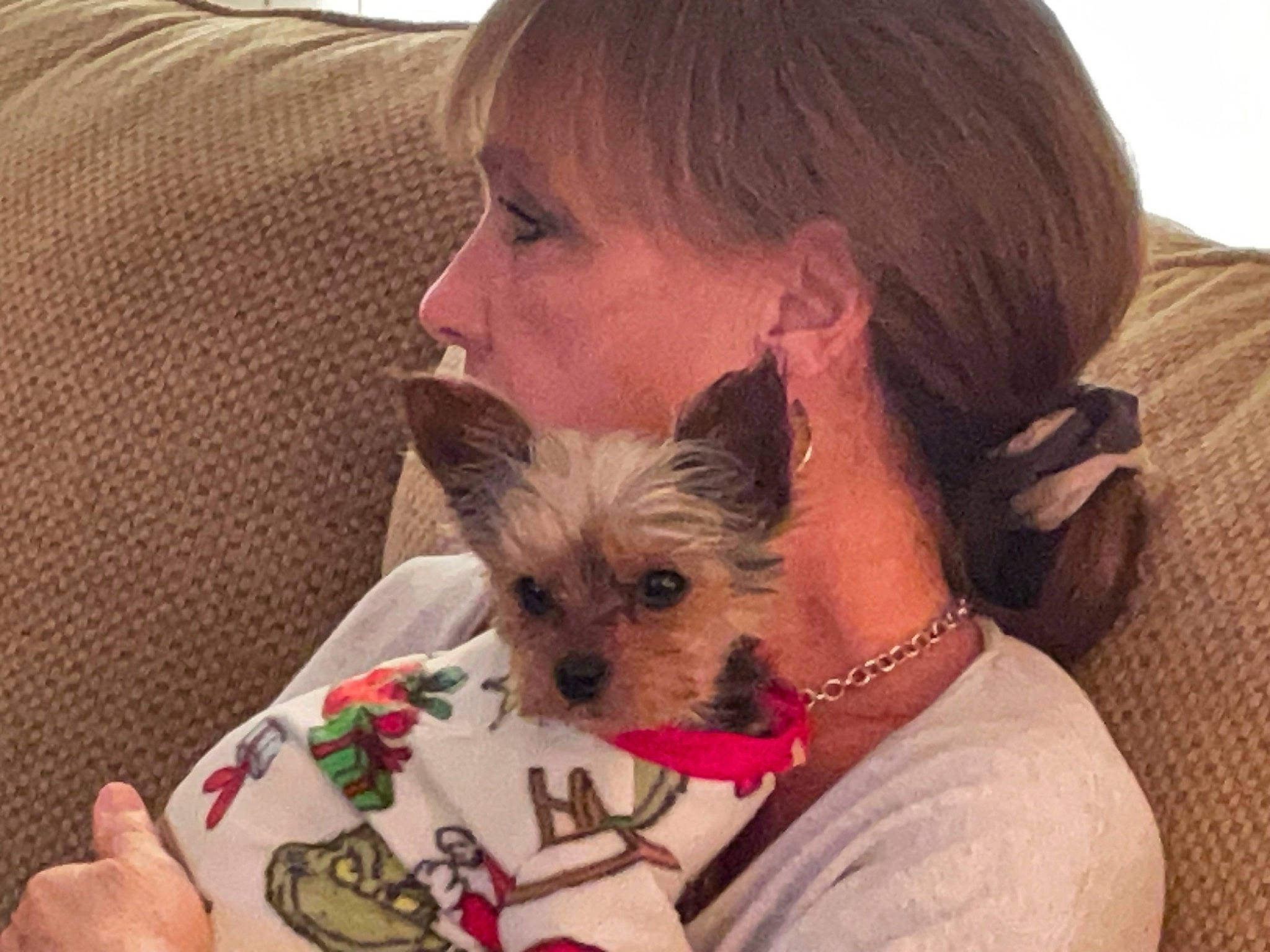 Nickie joined the competition — help win amazing prizes! canidae, carnivore, comfort, companion_dog, dog, dog_breed, dog_clothes, dog_supply, ear, fawn, fur, mammal, small_terrier, snout, sporting_group, t_shirt, terrier, toy_dog, whiskers, working_animal