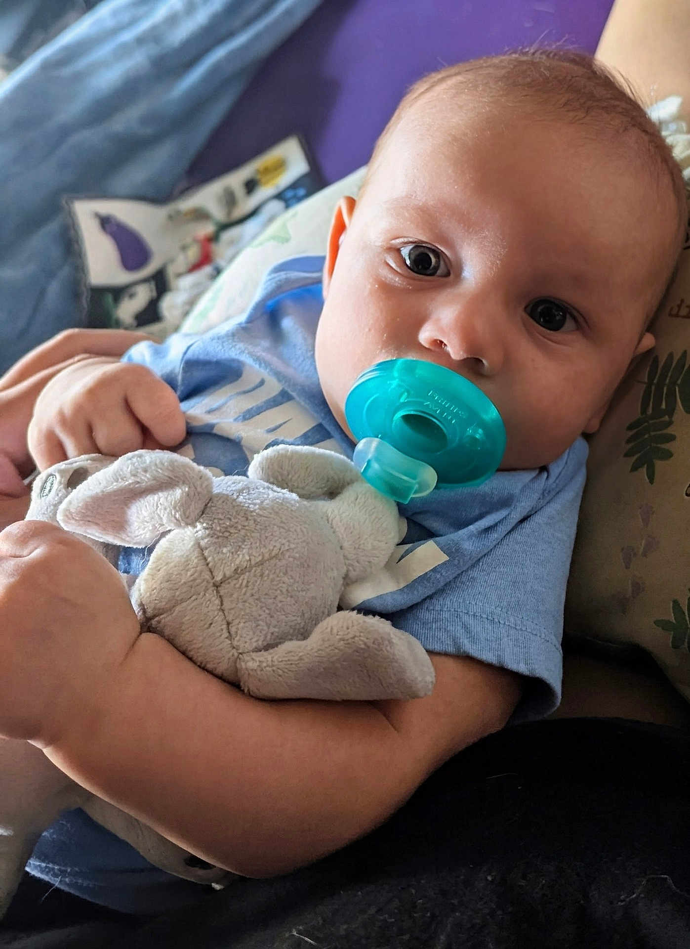 David is registered to the contest to win money with this photo: baby, pacifier, plush_toy, blue_shirt, closeup, child, infant, soft_toy, hand, face, eyes, cute, indoors, comfort, sleepy, cuddling, person, childhood, relaxation, portrait