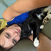 Roland is registered to the contest to win money with this photo: person, cat, tuxedo_cat, pet, couch, pillow, arm, paw, whiskers, cuddle, nap, blue_shirt, indoor, close_up, relaxed, face, upholstery, blanket, selfie, lying_down