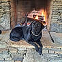 dog, black_dog, fireplace, fire, stone_hearth, stone_wall, indoor, pet, animal, resting, cozy, warm, fur, collar, relaxed, looking_away, hearth, log_fire, home, domestic
