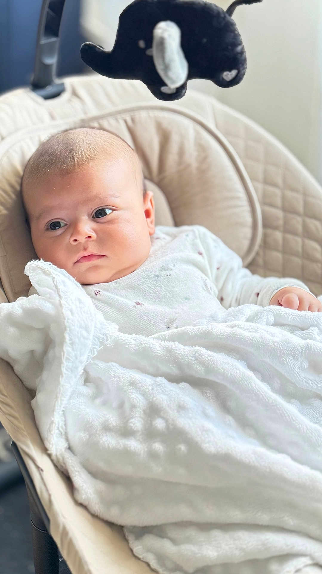 Ylann a rejoint le concours — aidez-le/la à gagner de superbes lots ! baby, infant, child, blanket, stroller_seat, mobile_toy, plush_elephant, seat, cozy, portrait, soft_texture, white_blanket, gaze, eyes, hand, head, indoors, nursery, fabric, closely_cropped