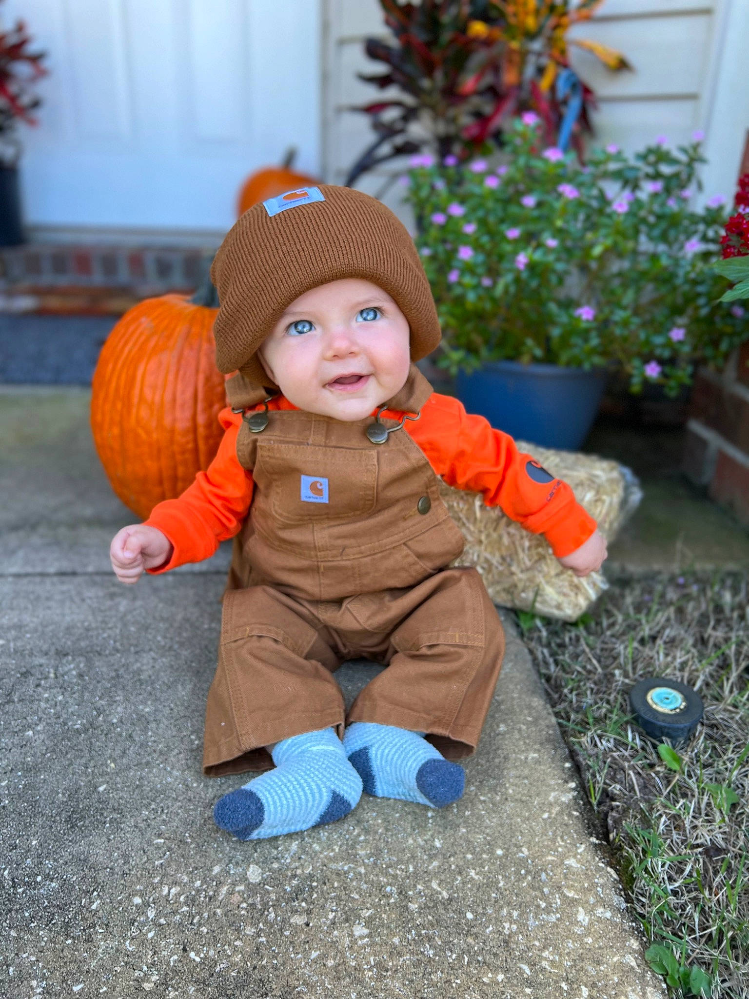 Jeffrey joined the competition — help win amazing prizes! baby, baby_toddler_clothing, calabaza, child, eye, flooring, flowerpot, fun, gourd, grass, head, headwear, houseplant, jacket, orange, people_in_nature, person, plant, pumpkin, smile