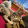 cat, tabby, sleeping, bed, blanket, stuffed_animal, plush_toy, dresser, bottle, furniture, indoor, cozy, pet, animal, fur, whiskers, ears, resting, red_bedspread, knitted_blanket
