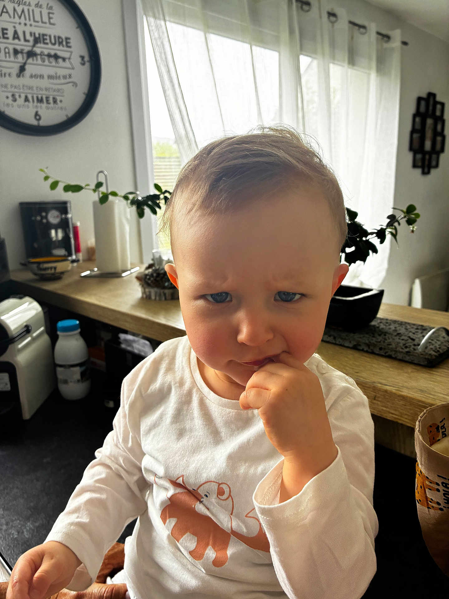 Mensïo participe au concours pour gagner de l'argent avec cette photo : toddler, child, indoor, kitchen, curtains, clock, plant, counter, cupboard, milk_bottle, white_shirt, expression, finger_in_mouth, blond_hair, blue_eyes, natural_light, table, household_items, portrait, serious