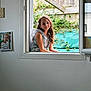 Layana a rejoint le concours — aidez-le/la à gagner de superbes lots ! child, girl, window, plant, greenery, portrait, indoor, outdoor, photo_frame, smile, hair_beads, casual_clothing, natural_light, wall, cushion, bench, home, relaxation, peaceful, young