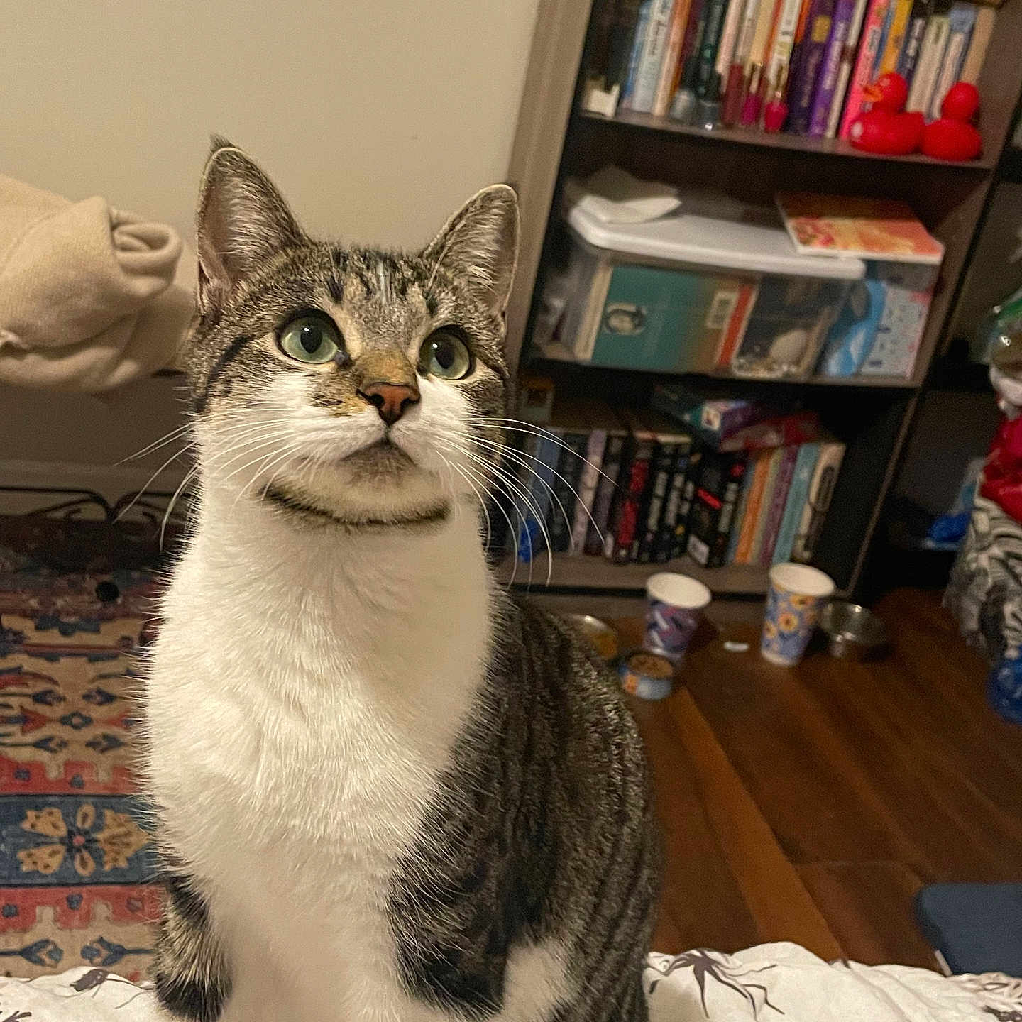 Juni