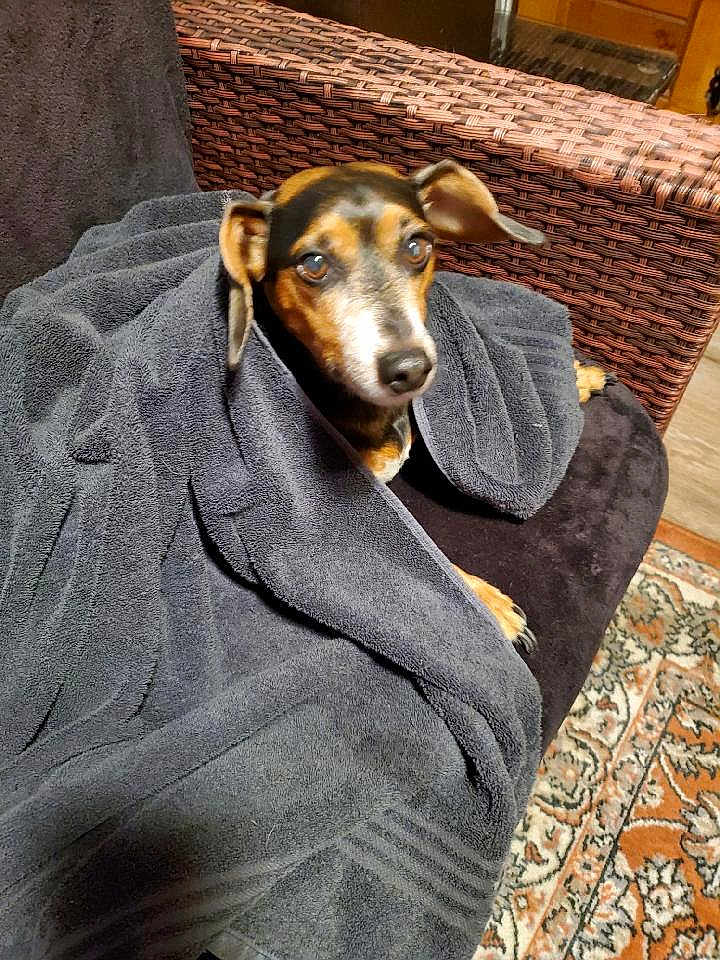 Rocky