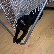 Simba participe au concours pour gagner de l'argent avec cette photo : animal, black_cat, blanket, cat, cozy, curious, domestic_cat, feline, floor, home, indoor, metal_frame, patterned_blanket, pet, quiet, relaxing, resting, shadow, stretching, wooden_floor