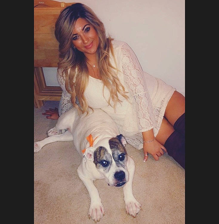 Bones is registered to the contest to win money with this photo: american_pit_bull_terrier, beauty, canidae, carnivore, companion_dog, dog, dog_breed, fawn, head, human, leg, long_hair, mammal, non_sporting_group, nose, puppy, puppy_love, selfie, skin, smile