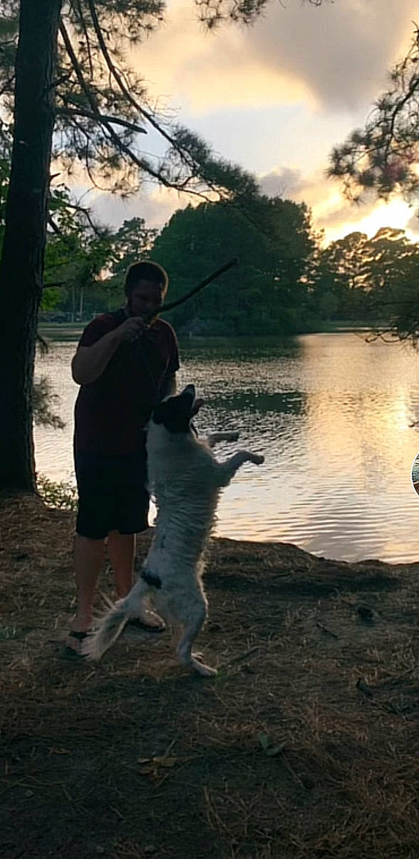 Lincoln joined the competition — help win amazing prizes! body_of_water, carnivore, dog, dog_breed, evening, fun, grass, happy, lake, landscape, leisure, people_in_nature, plant, recreation, sky, sporting_group, tail, tints_and_shades, tree, water