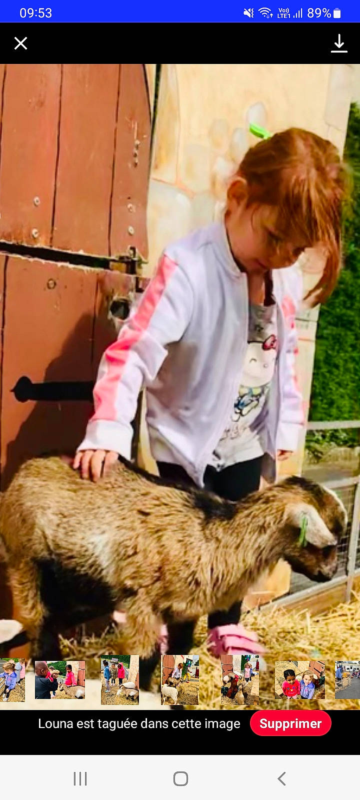 Louna participe au concours pour gagner de l'argent avec cette photo : bovine, canidae, companion_dog, cow_goat_family, dog_breed, event, fur, goat, goat_antelope, goats, happy, livestock, natural_material, person, plant, sheep, sporting_group, terrestrial_animal, wildlife_biologist, working_animal