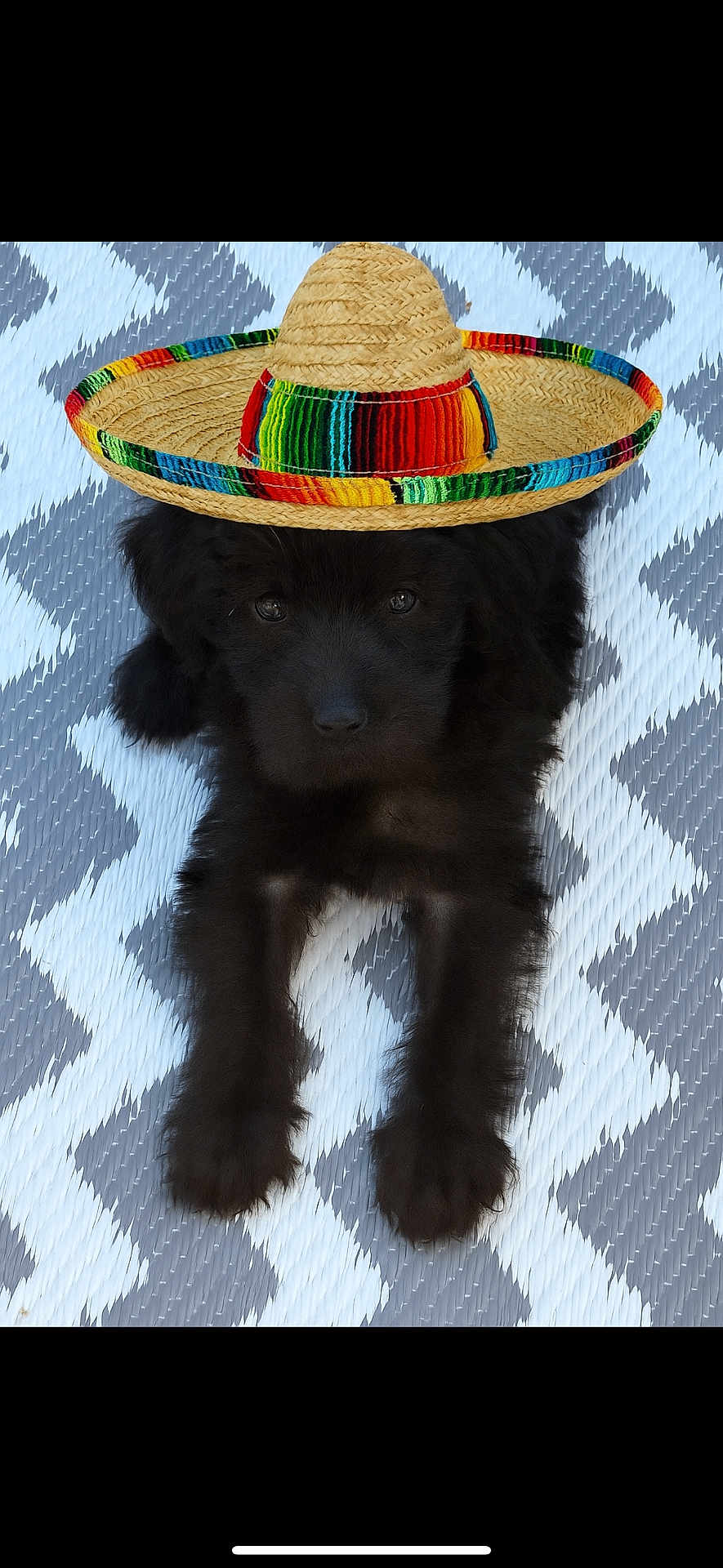 Pablo