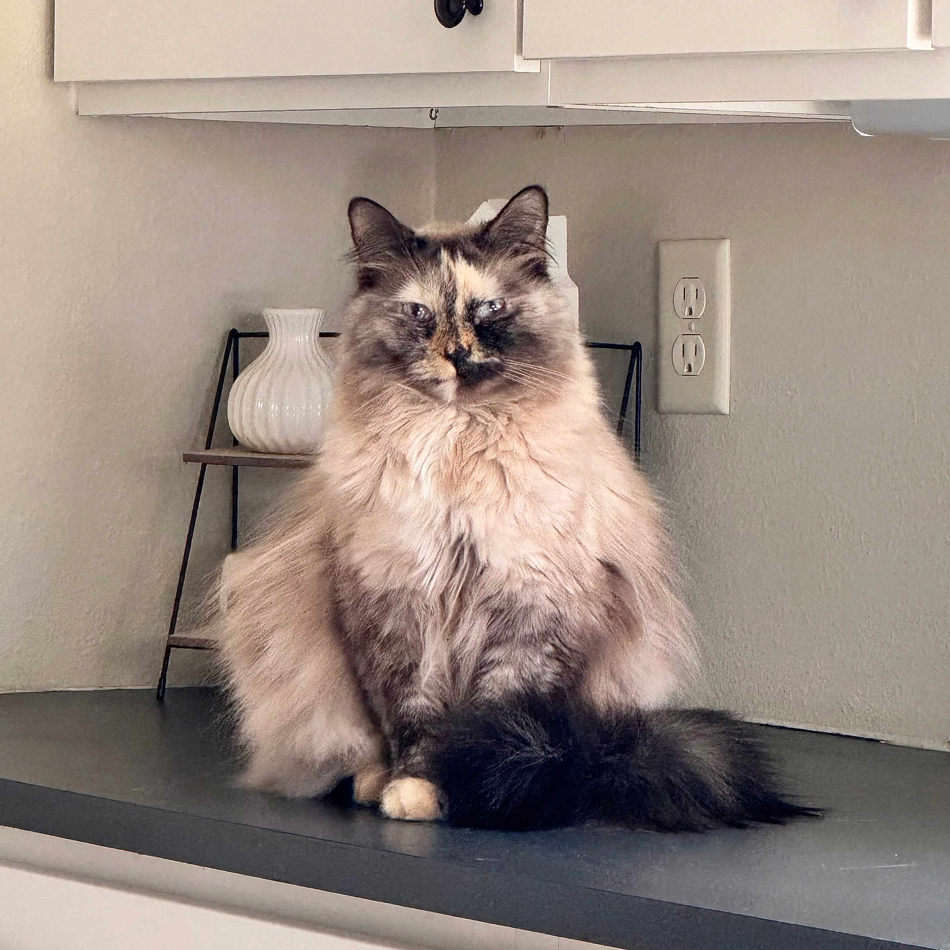 Vada