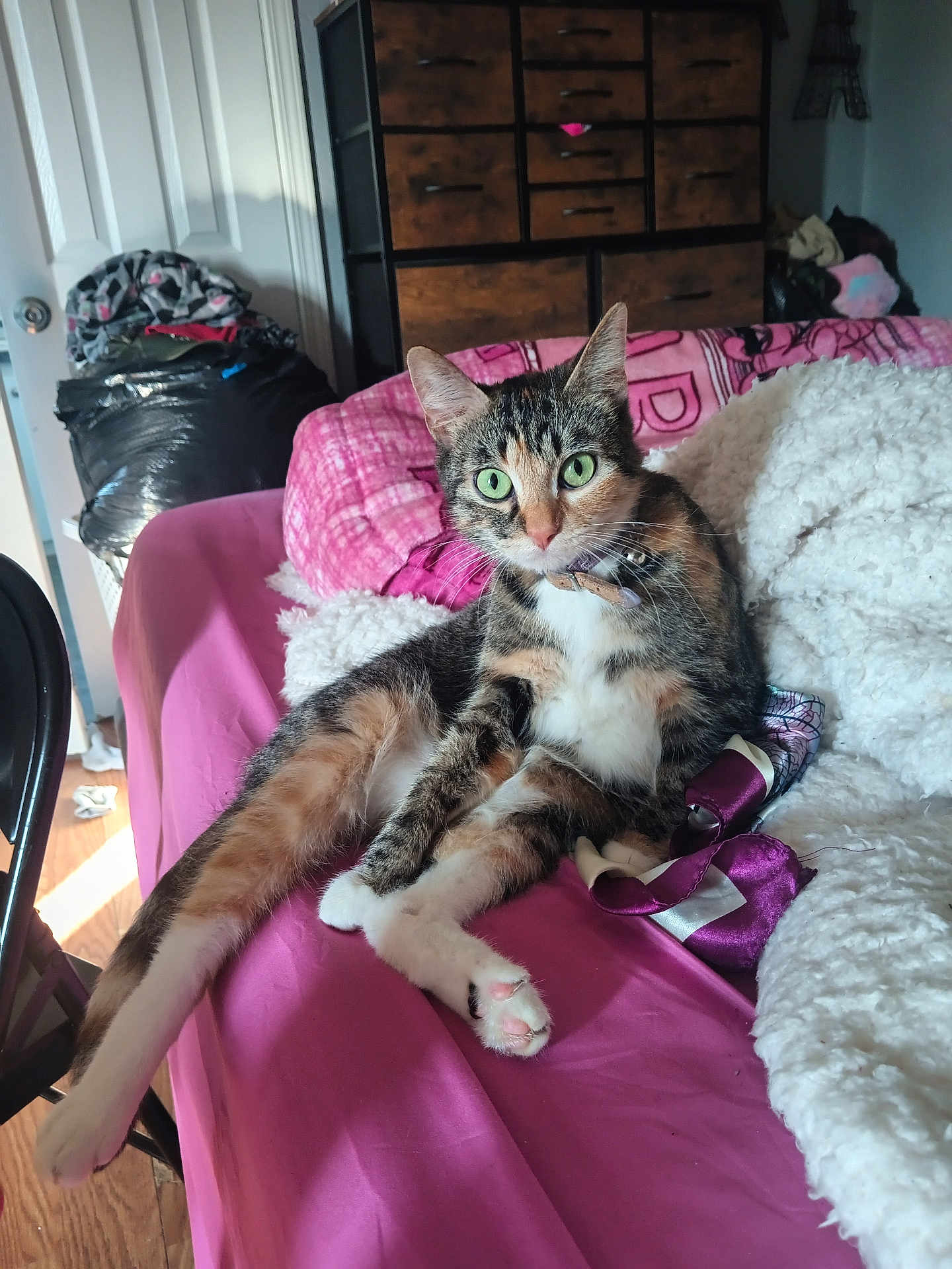 Duchess