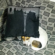 Iako participe au concours pour gagner de l'argent avec cette photo :