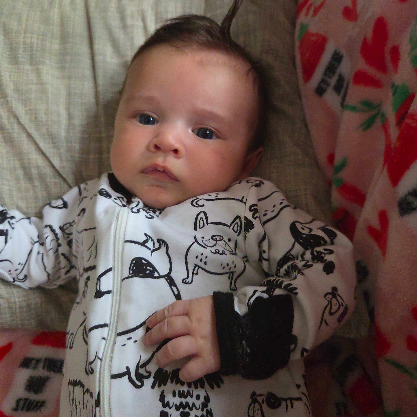 William joined the competition — help win amazing prizes! baby, infant, onesie, dog_pattern, blanket, bed, cozy, child, cute, sleepwear, hand, face, hair, expression, indoors, soft_texture, comfort, portrait, young, resting