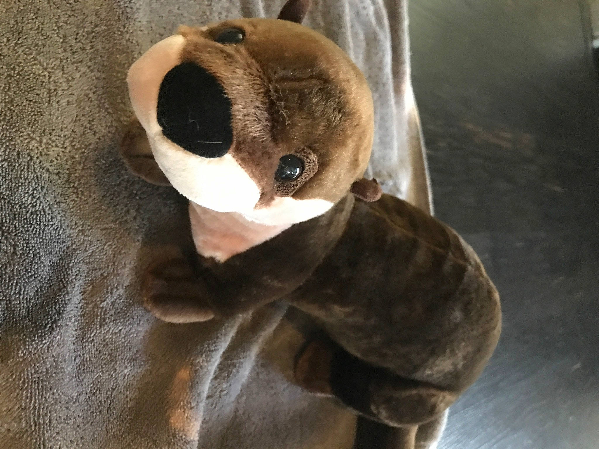 Emar joined the competition — help win amazing prizes! carnivore, collar, companion_dog, ear, eye, eyewear, fawn, glasses, grey, human_body, mask, plush, snout, stuffed_toy, sunglasses, terrestrial_animal, toy, whiskers, wood, working_animal