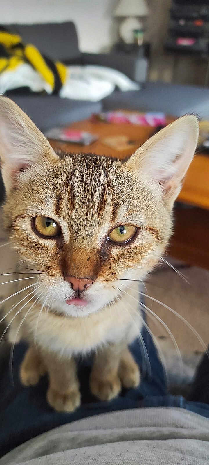 Rocky