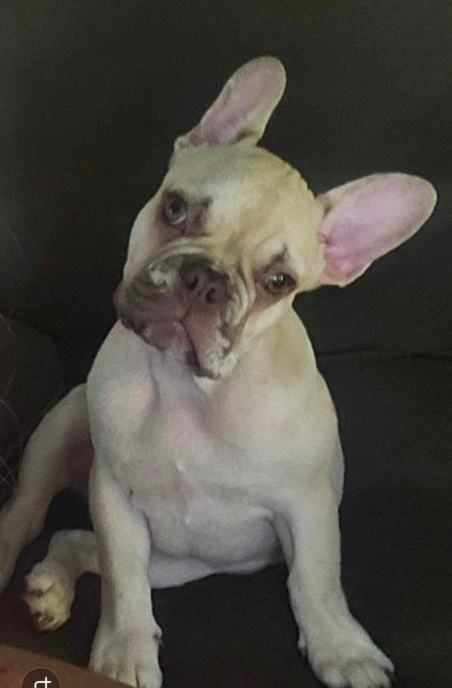 Ruger