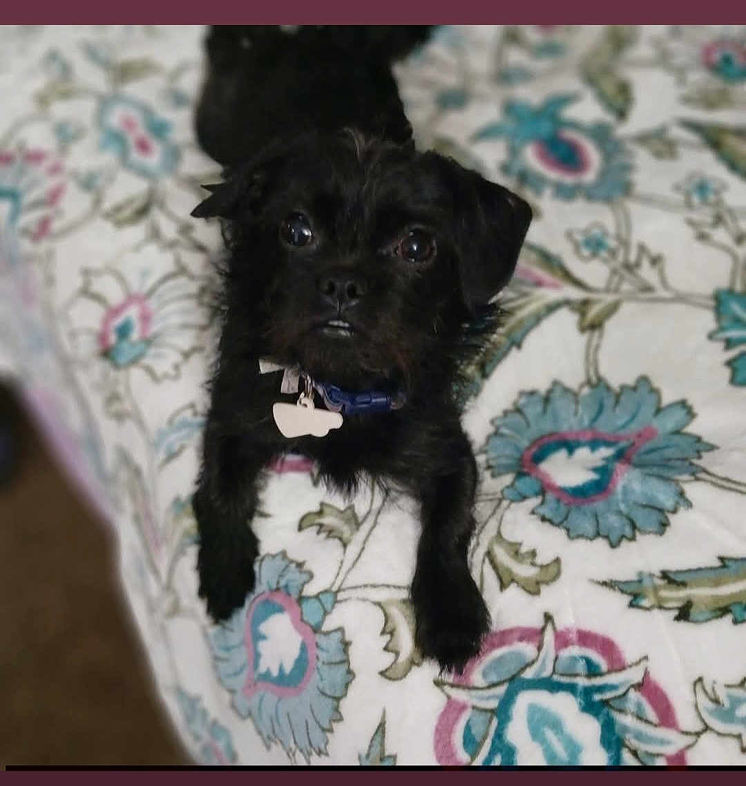 Maddie