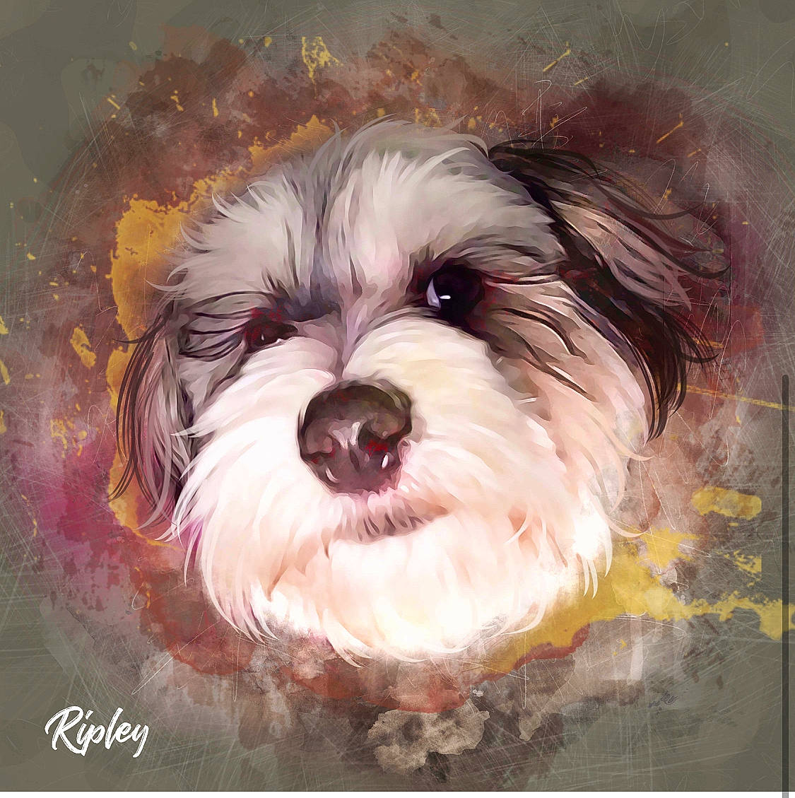 Ripley is registered to the contest to win money with this photo: art, bearded_collie, biewer_terrier, canidae, carnivore, companion_dog, dog, dog_breed, liver, paint, painting, puppy_love, rectangle, small_terrier, sporting_group, terrier, toy_dog, visual_arts, water_dog, working_animal