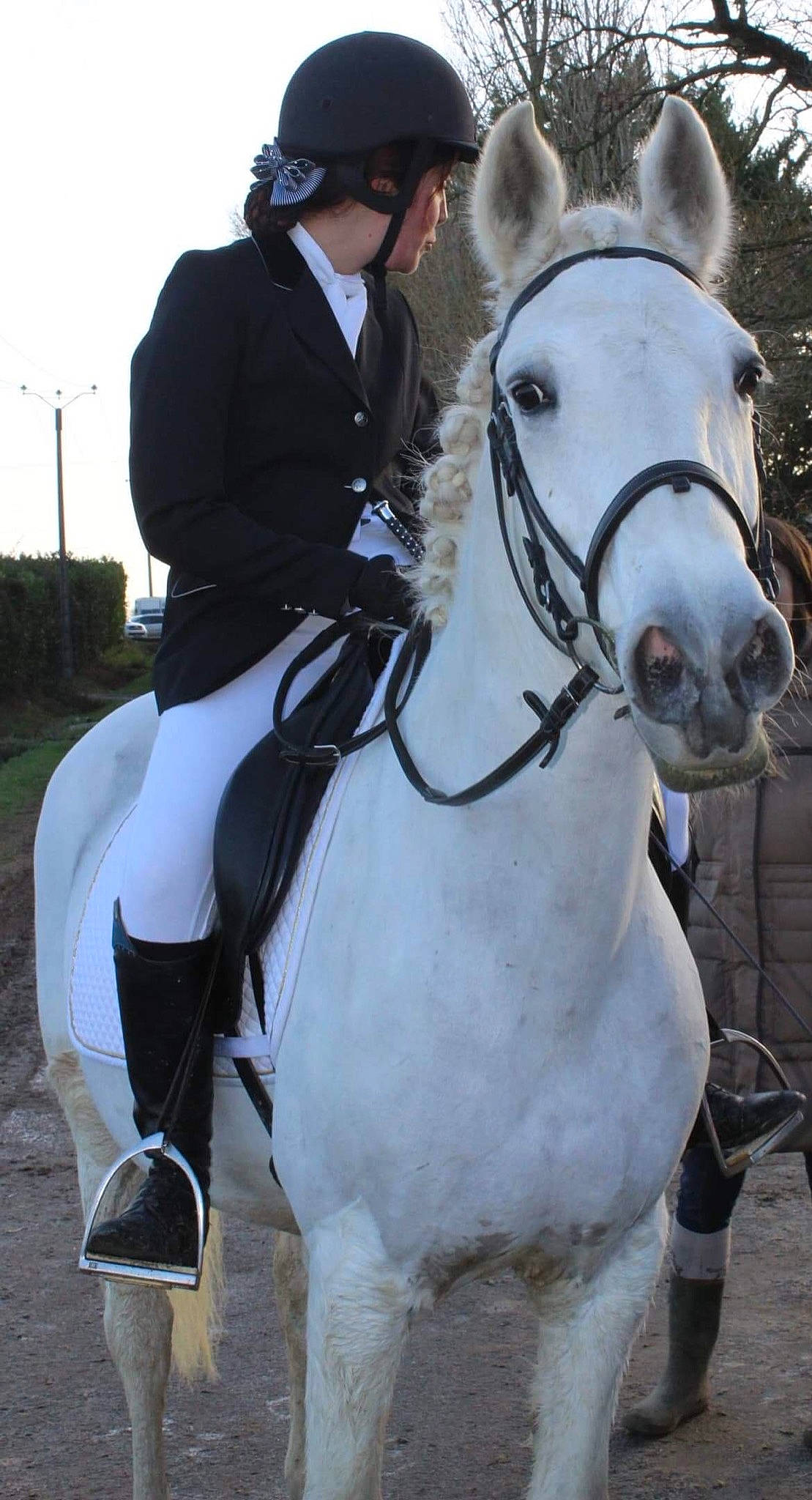 Nuage participe au concours pour gagner de l'argent avec cette photo : animal_sports, bit, bridle, english_riding, equestrian_helmet, equestrianism, halter, helmet, horse, horse_harness, horse_supplies, horse_tack, mammal, mane, recreation, rein, riding_instructor, saddle, stallion, vertebrate