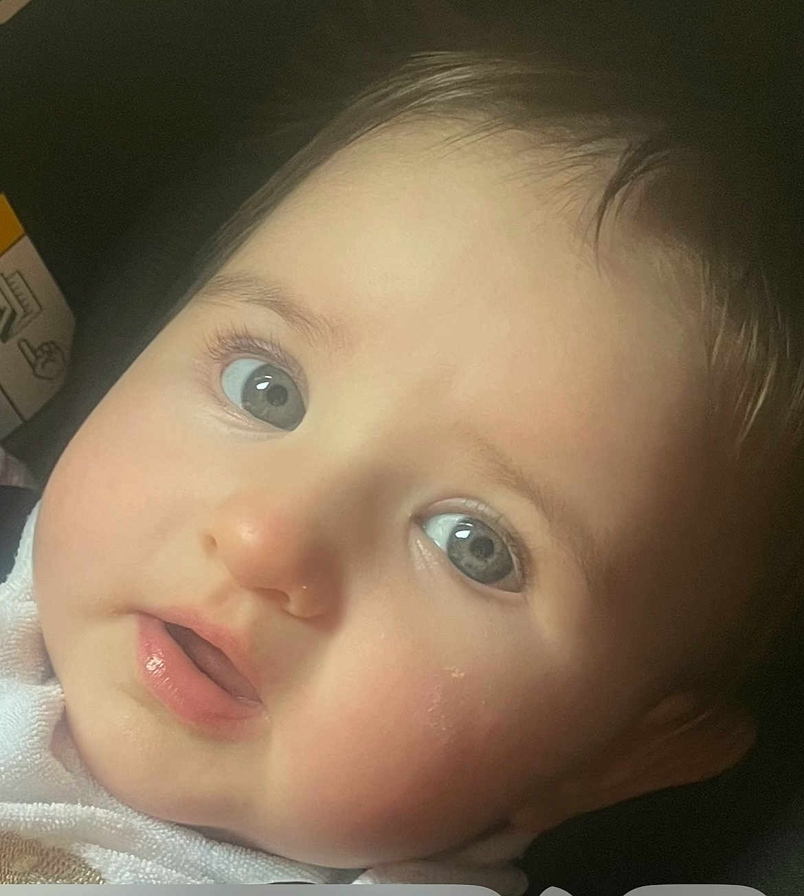 Darcie joined the competition — help win amazing prizes! baby, close_up, face, blue_eyes, chubby_cheeks, infant, curious, innocent, soft_lighting, portrait, skin, eyelashes, mouth, nose, head, child, young, human, expression, cute