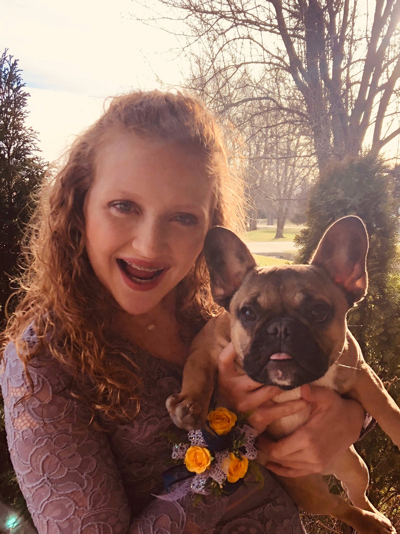 Vera is registered to the contest to win money with this photo: australian_kelpie, canidae, carnivore, companion_dog, dog, dog_breed, ear, fawn, french_bulldog, mammal, non_sporting_group, photography, plant