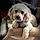 Charlie