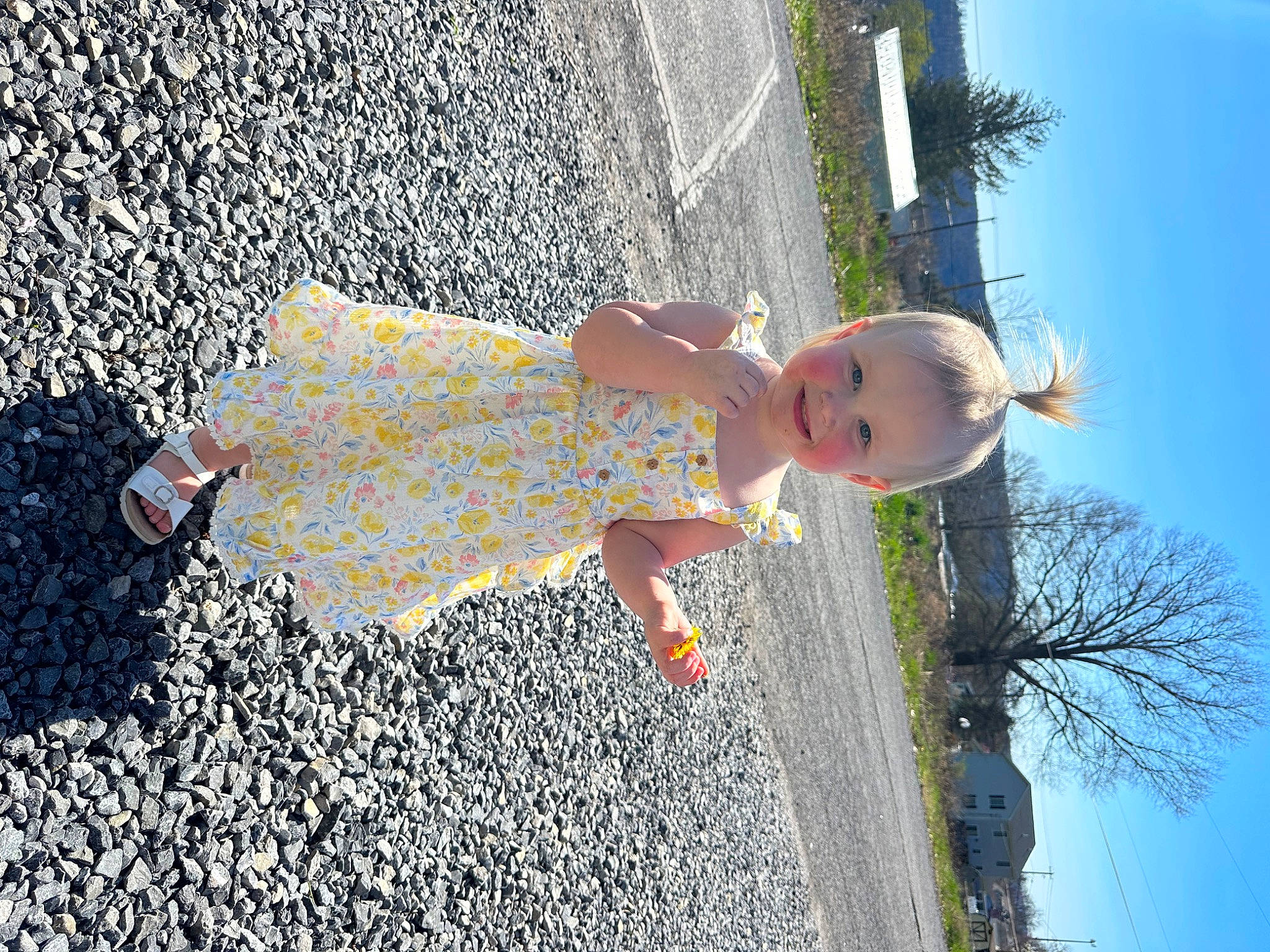 Alice is registered to the contest to win money with this photo: asphalt, day_dress, dress, fun, grass, happy, human_leg, joy, leaf, leisure, people_in_nature, person, plant, road_surface, shadow, sidewalk, sky, sunlight, tar, toddler