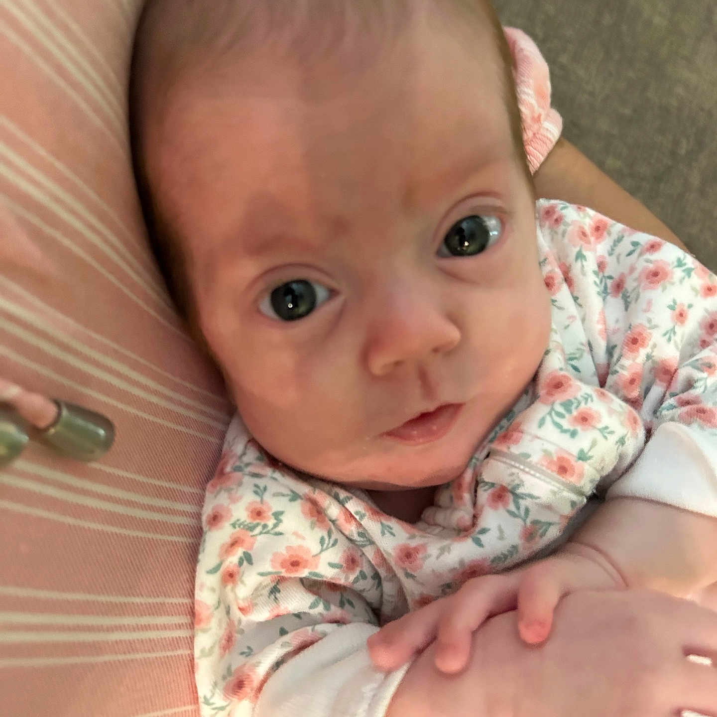 Isabelle joined the competition — help win amazing prizes! baby, infant, close_up, face, blue_eyes, floral_clothing, hand, cushion, striped, pink, skin, person, newborn, cute, resting, portrait, indoors, soft, baby_girl, child