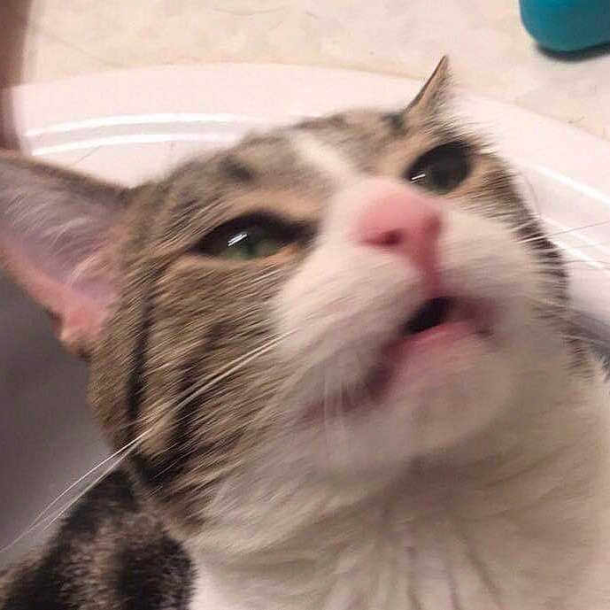 Marbles