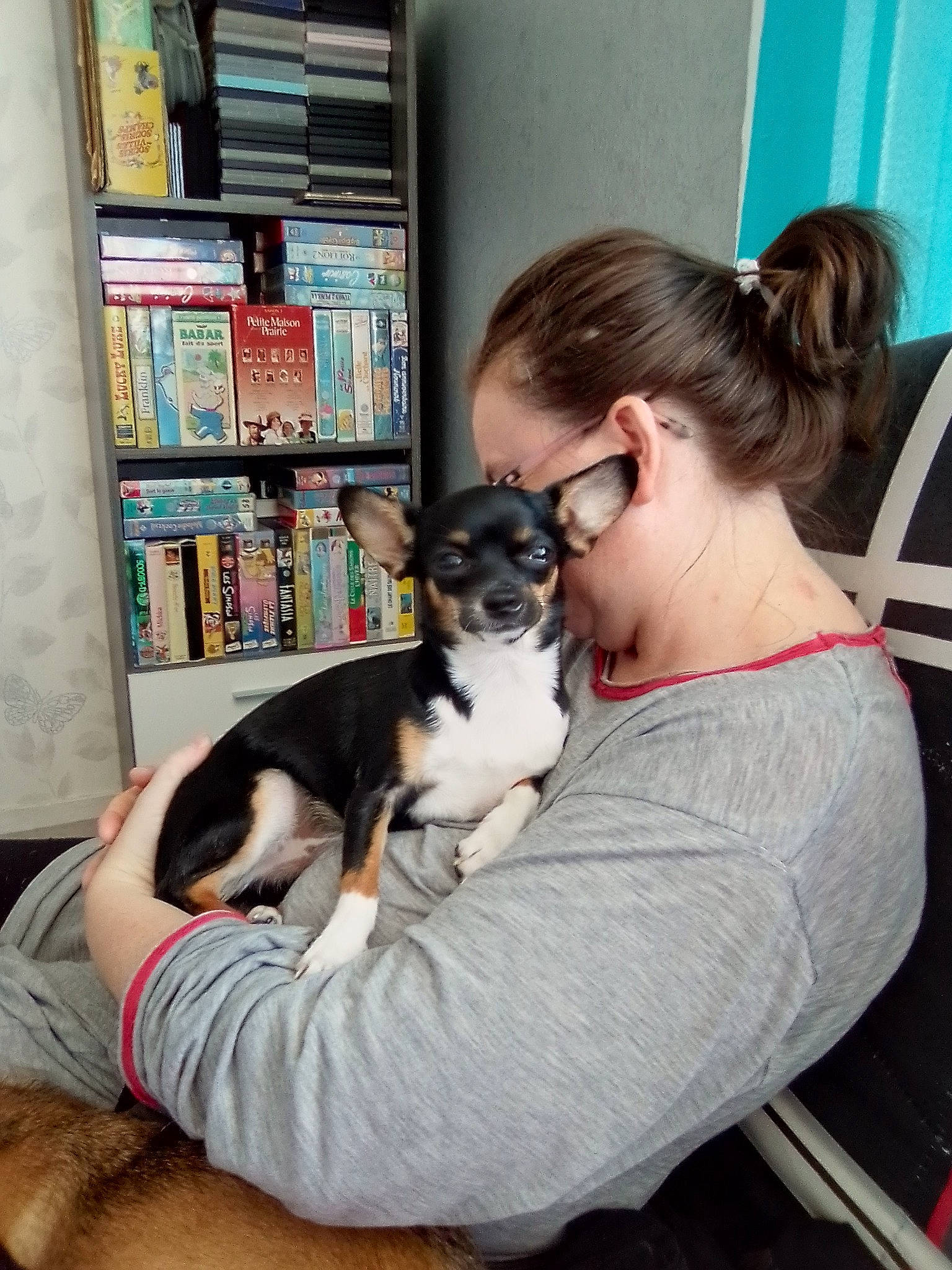 Sydnay a rejoint le concours — aidez-le/la à gagner de superbes lots ! book, bookcase, carnivore, chair, comfort, companion_dog, dog, dog_breed, felidae, fun, fur, lap, leisure, mammal, publication, shelf, shelving, sitting, small_to_medium_sized_cats, thigh