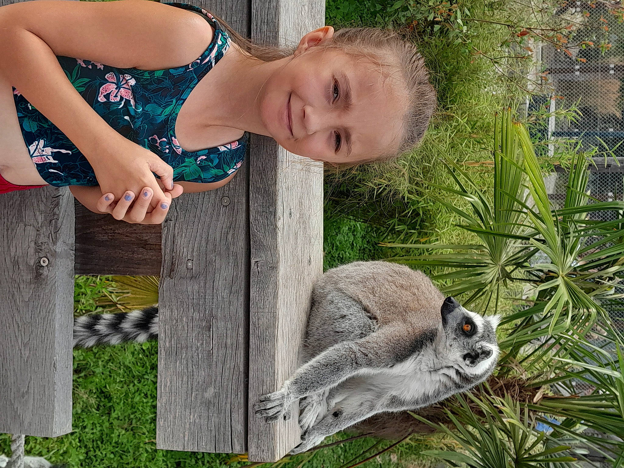 Cyrielle participe au concours pour gagner de l'argent avec cette photo : beak, chest, electric_blue, fawn, fur, grass, happy, joy, marsupial, organ, pattern, people_in_nature, person, photograph, plant, tail, terrestrial_animal, tree, trunk, twig