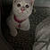 Lucy