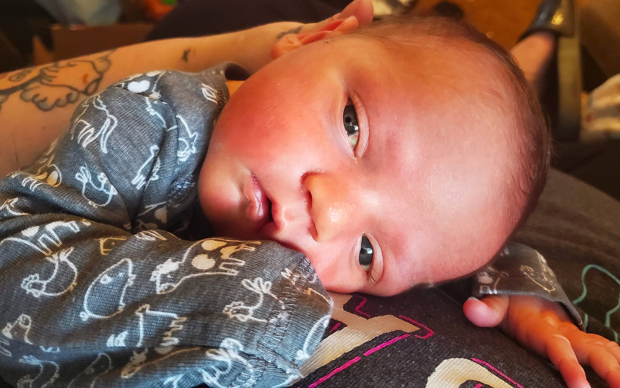 Deacon is registered to the contest to win money with this photo: baby, cheek, child, chin, comfort, ear, eye, eyebrow, eyelash, flash_photography, fun, happy, iris, lip, mouth, nose, person, plaid, skin, smile