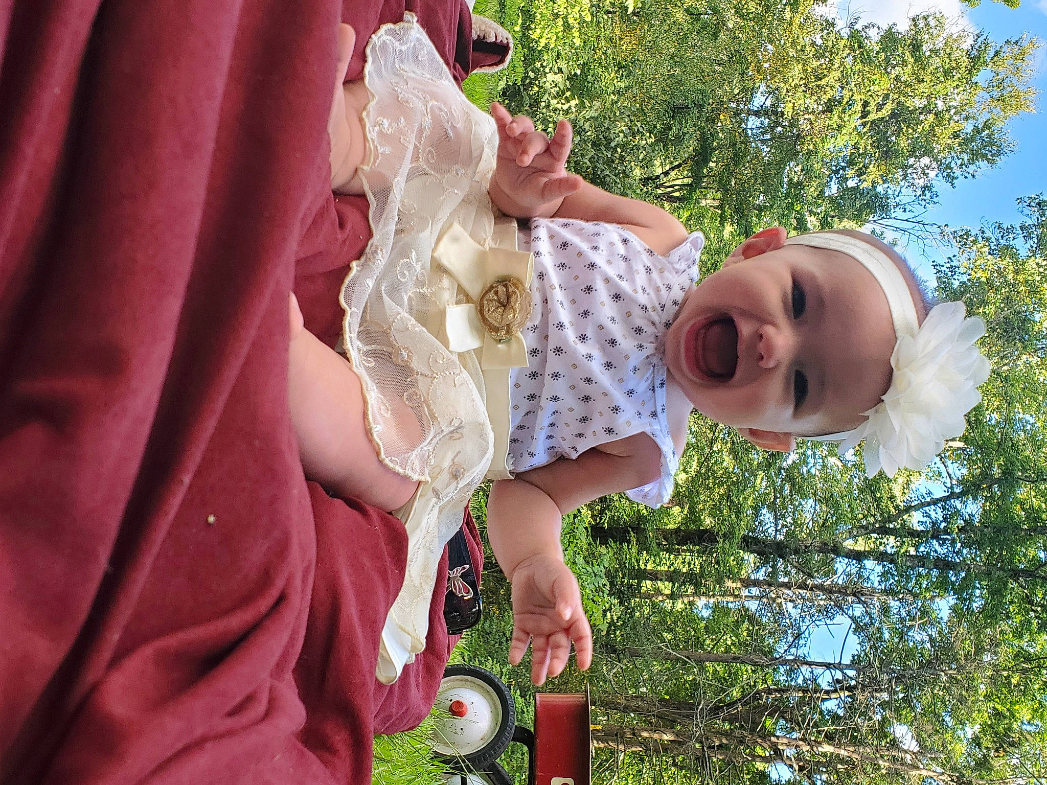 Alaina Harper is registered to the contest to win money with this photo: child, fawn, fun, grass, person, plant, smile, toddler, tree
