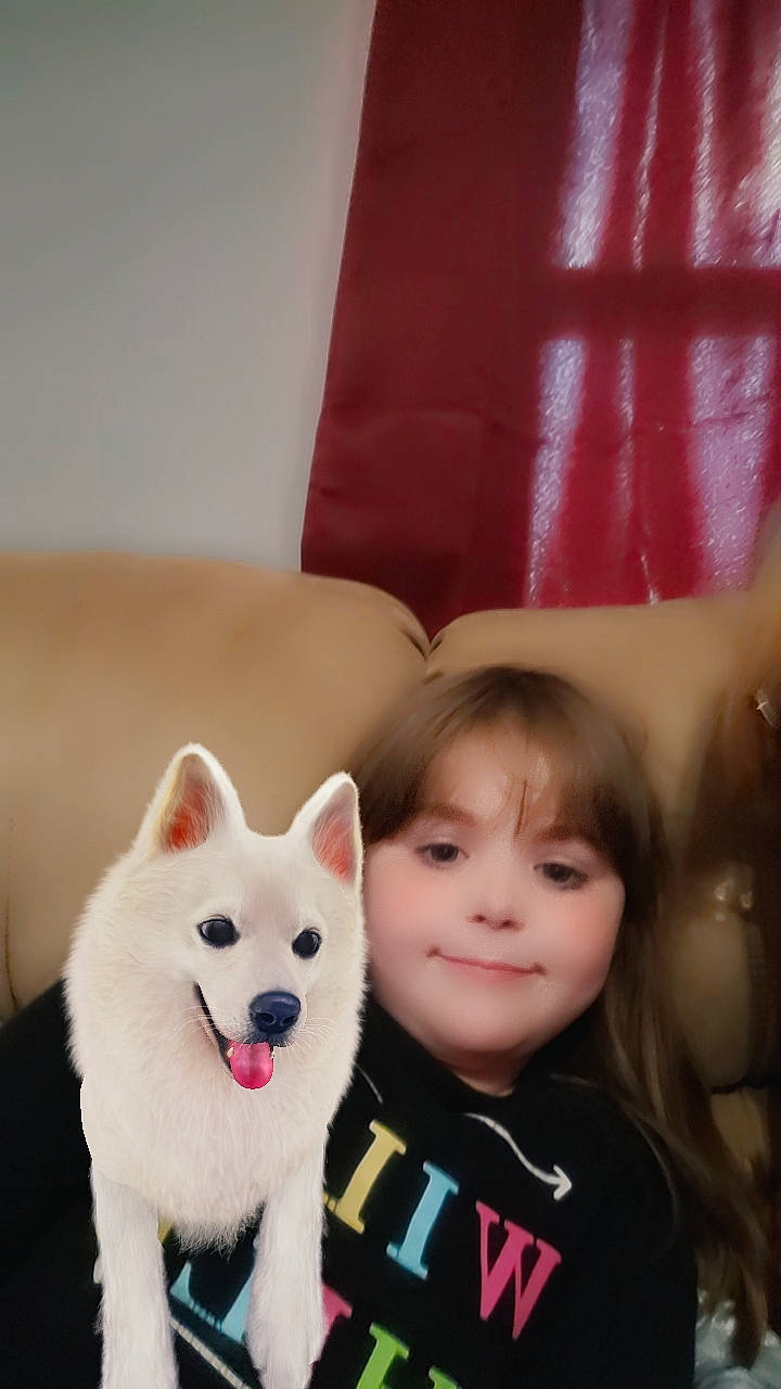Marley joined the competition — help win amazing prizes! ancient_dog_breeds, canidae, canis, carnivore, child, companion_dog, dog, dog_breed, fun, fur, happy, joy, non_sporting_group, person, smile, spitz, tie, toddler, wolf