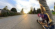 Tala is registered to the contest to win money with this photo: dog, skateboard, skateboarding, person, outdoor, street, road, sunset, golden_hour, urban, neighborhood, pet, leash, harness, clothing, sneakers, motion, low_angle, sky, trees